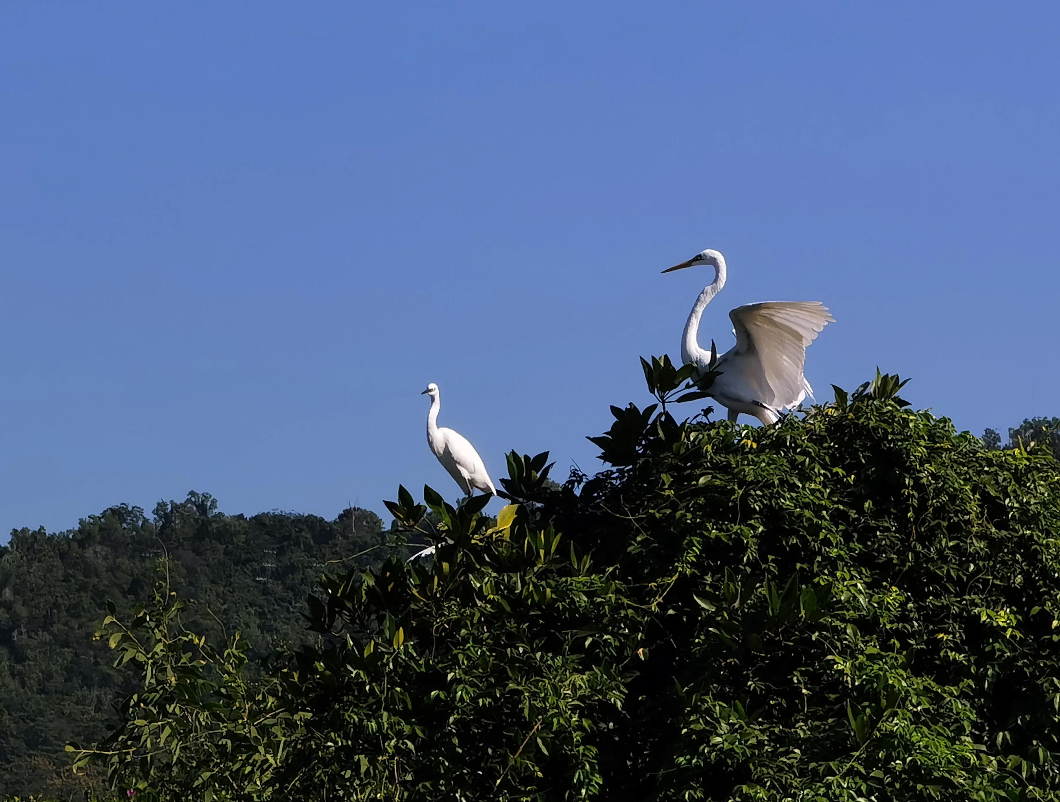 适合猫冬养老旅居好去处,海南东方旅居攻略