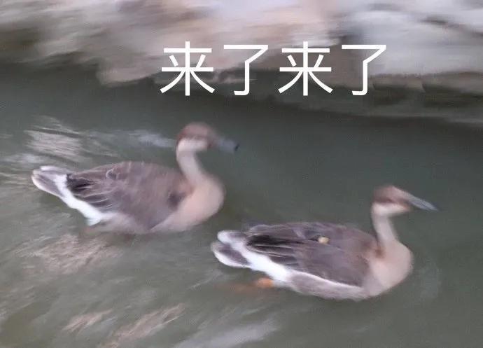 ao3获得雨果奖获奖词,获雨果奖的科幻巨作三体