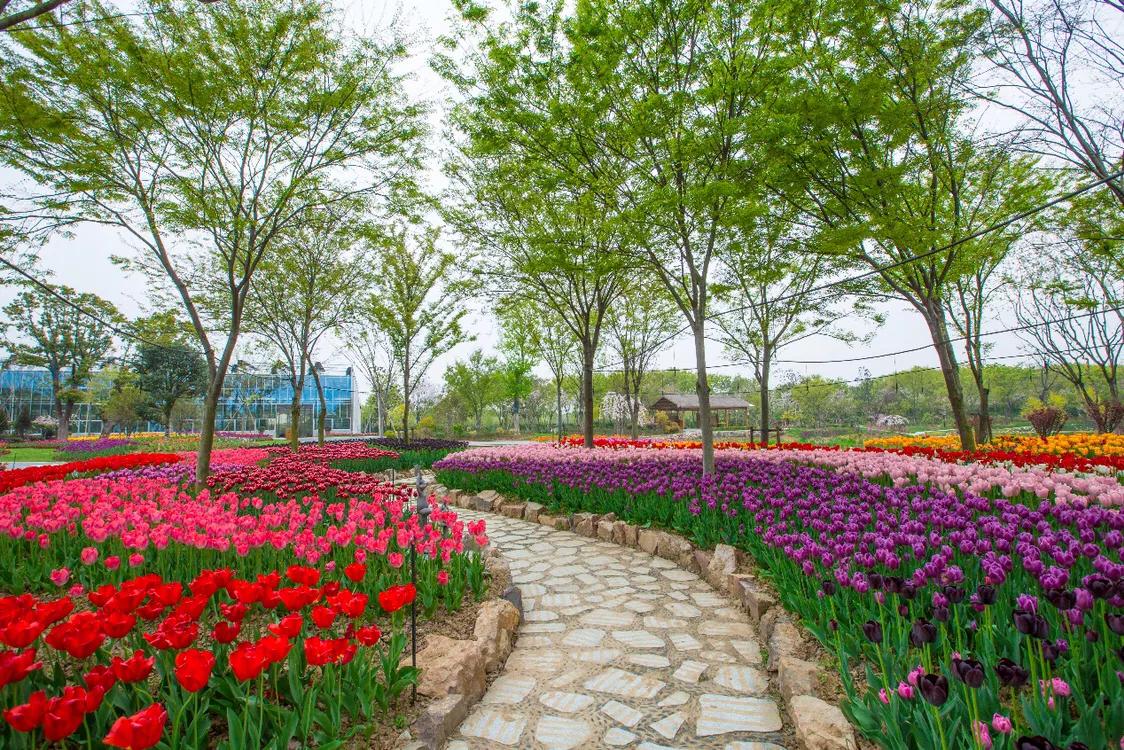 不用去维多利亚!南京溧水惊现布查特花园,文艺值爆表!