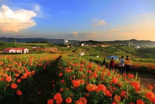 昆明周边适合三四天玩的景点,五一昆明周边自驾游