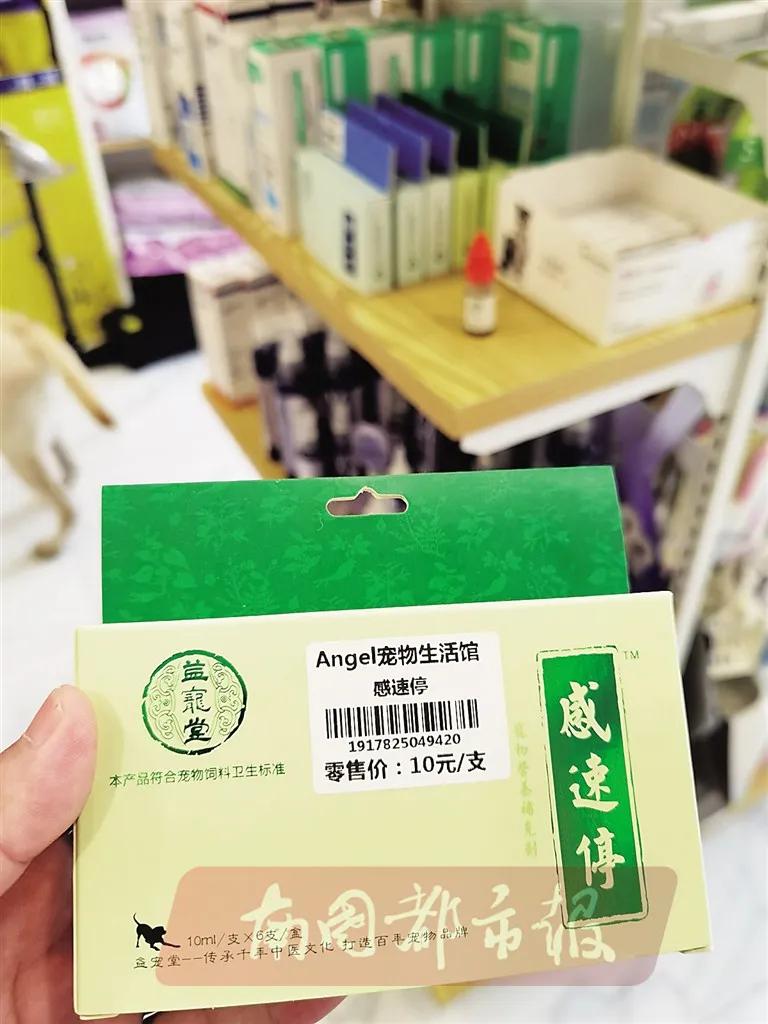 揭秘宠物医院行业内幕,细思极恐兽医