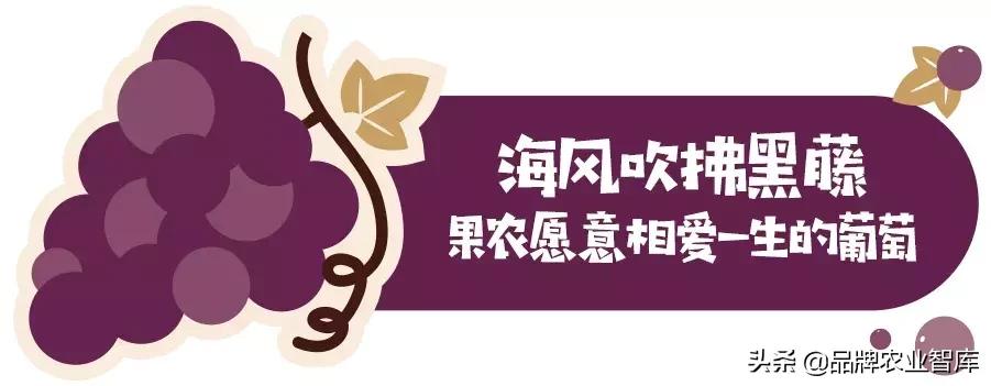 巨峰葡萄在中国的历史,巨峰葡萄谁引进