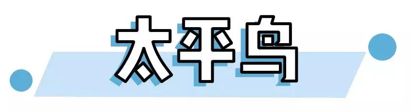 hm衣服比实体店便宜,hm打折30元买衣服