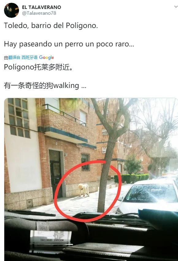 女子花188元买到假lv,女子买到假lv