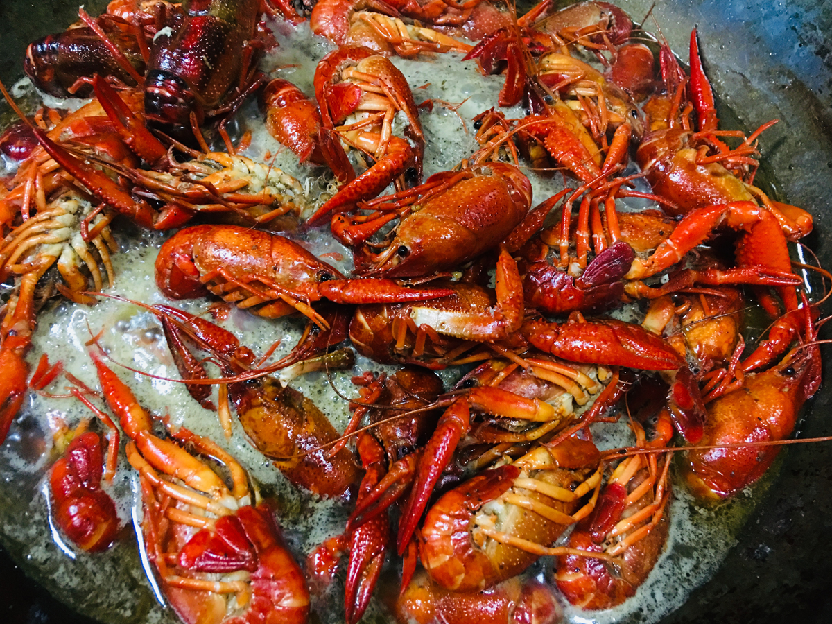 买小龙虾青的好还是红的好,买小龙虾划算还是海虾划算