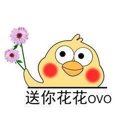 认识十种花卉,认识三种蔬菜