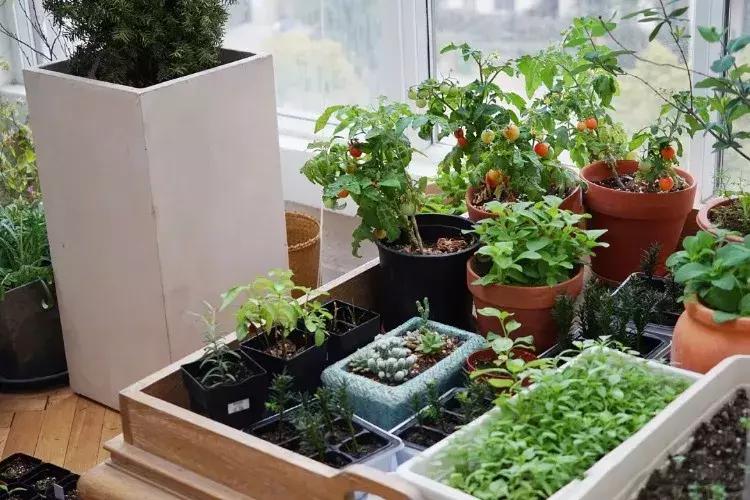 最有质感的家欢迎借鉴,打造浪漫有格调的家