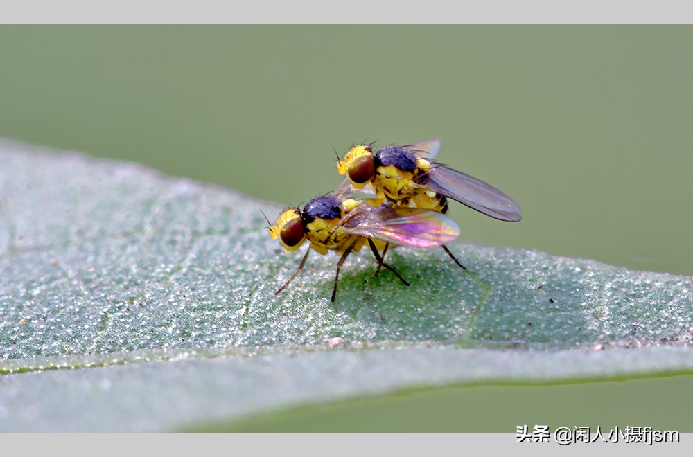 摄影三要素曝光对焦基础知识,广角的拍摄技巧及使用方法