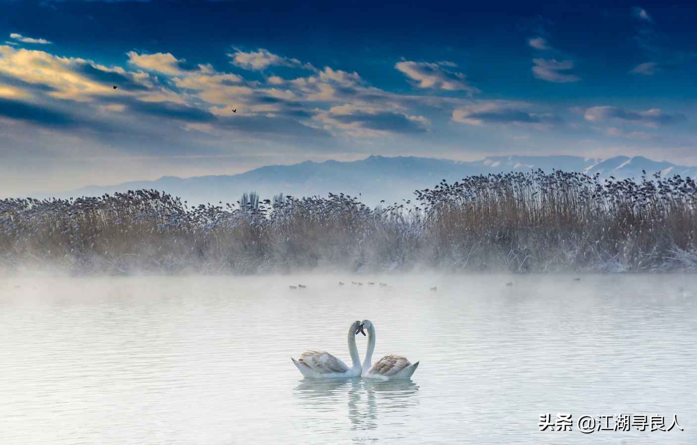 冬天40首必背古诗千山鸟飞绝,适合冬天的绝美古诗词