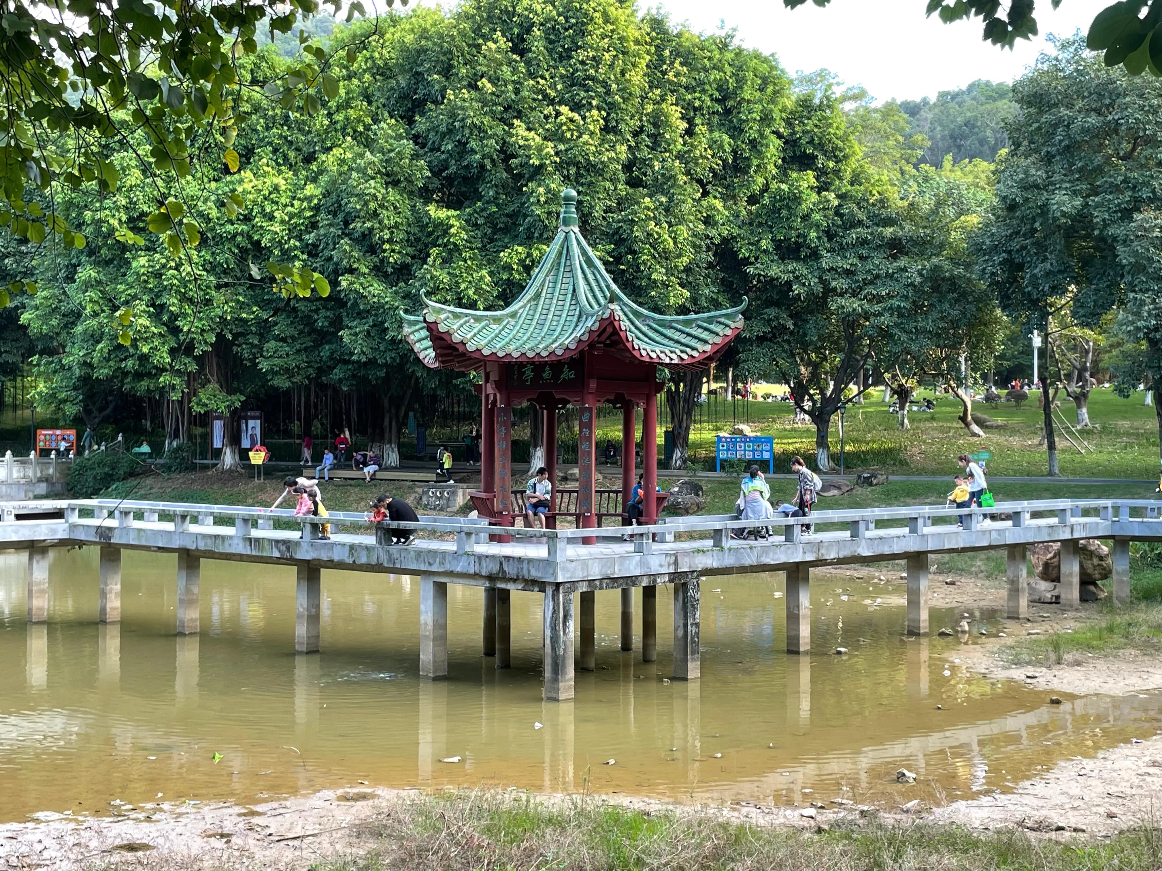 东莞旗峰公园爬山打卡,东莞人的公园