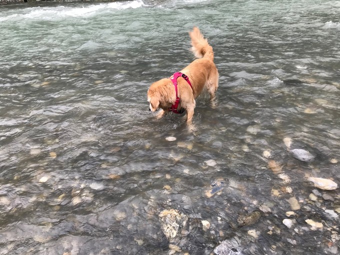 成都喇叭河自驾,自贡到喇叭河自驾