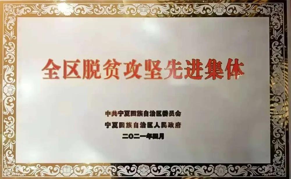 「宁商｜先行者」曲奎：数字化护航新华百货打造百年老店之路