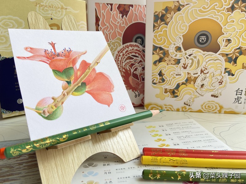飞乐鸟50色国风彩铅,飞乐鸟彩铅测评