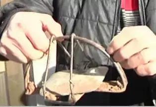 国家保护动物受伤被救,被国家保护动物致死怎么处理