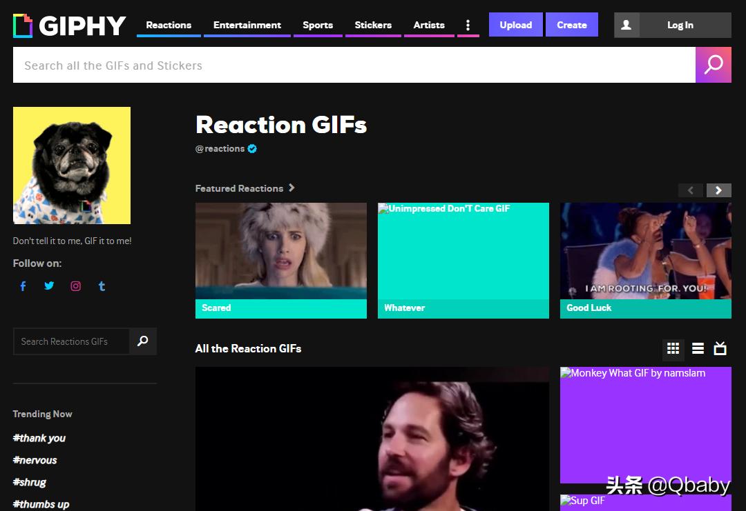 免费的图标素材软件,亲测可用图片大全