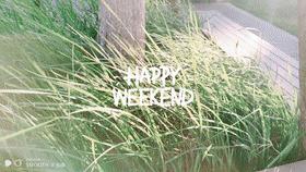 升级款智能云台,升级版自拍云台