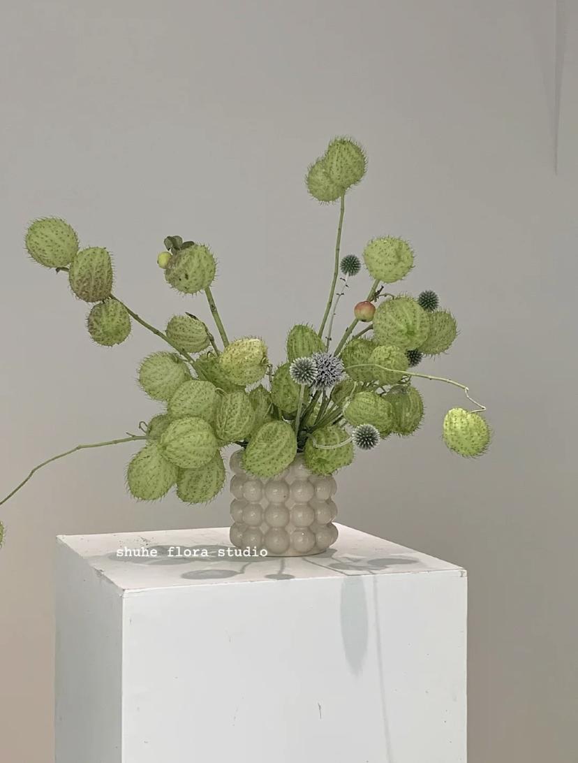 家里要有氛围感什么花比较好,家里高级的花