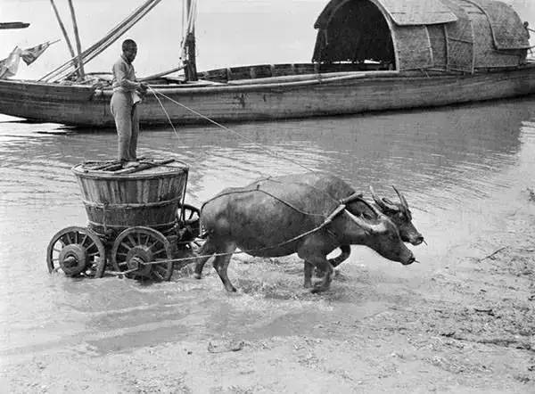 姘戝浗鏃╂湡娴欐睙鍏ㄥ浘,姘戝浗鍚勭渷鍥剧墖