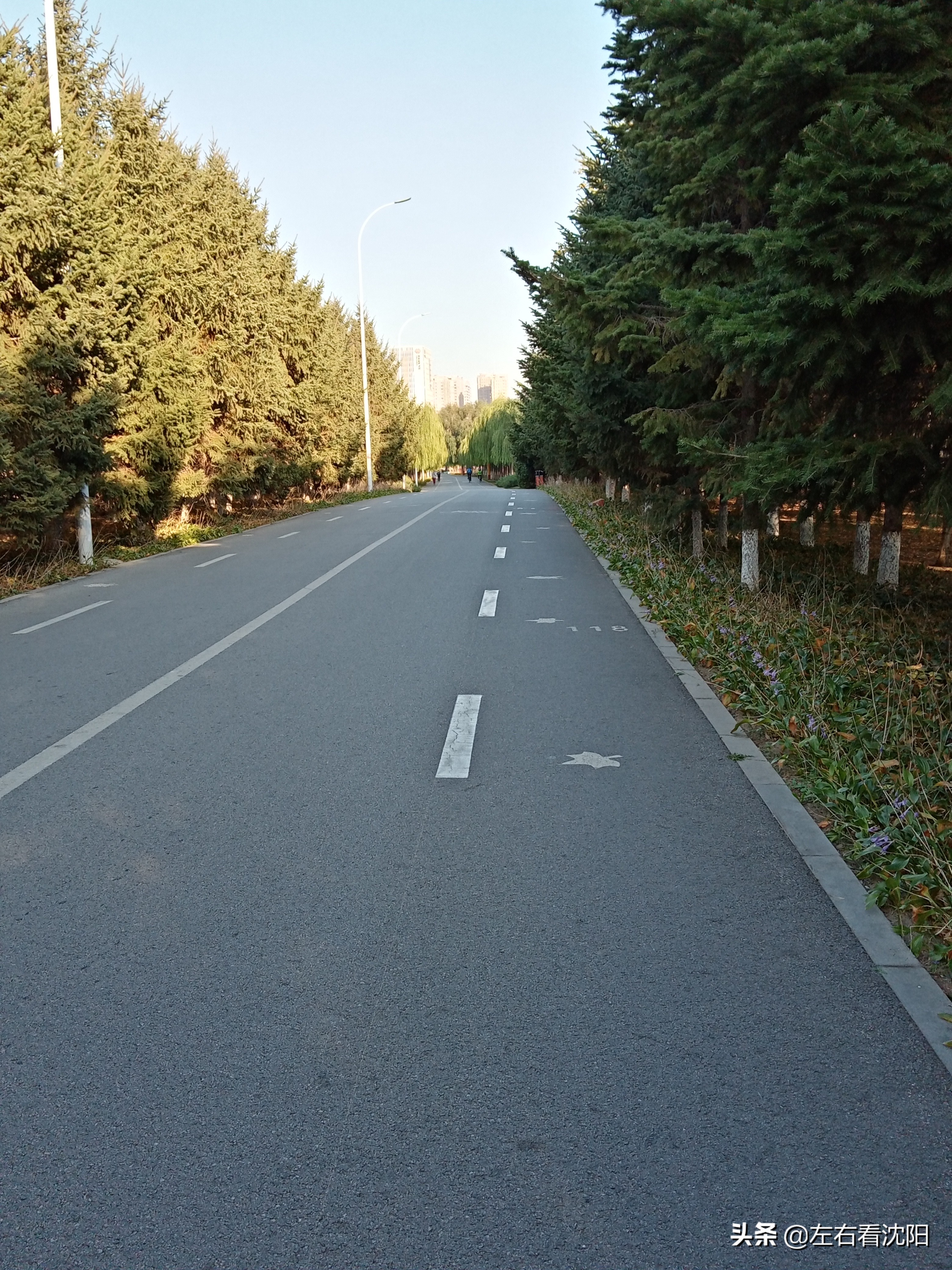 沈阳五里河公园攻略,沈阳五里河公园现在开吗