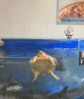 搞笑时刻：待我长发及腰，少年娶我可好？