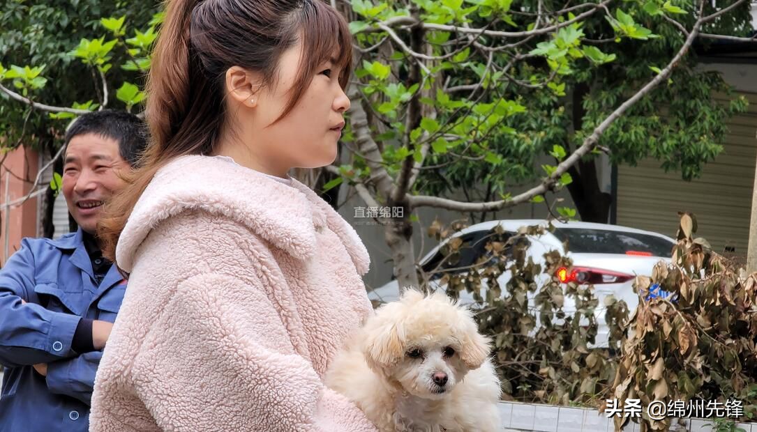 免费的狗疫苗,免费犬疫苗