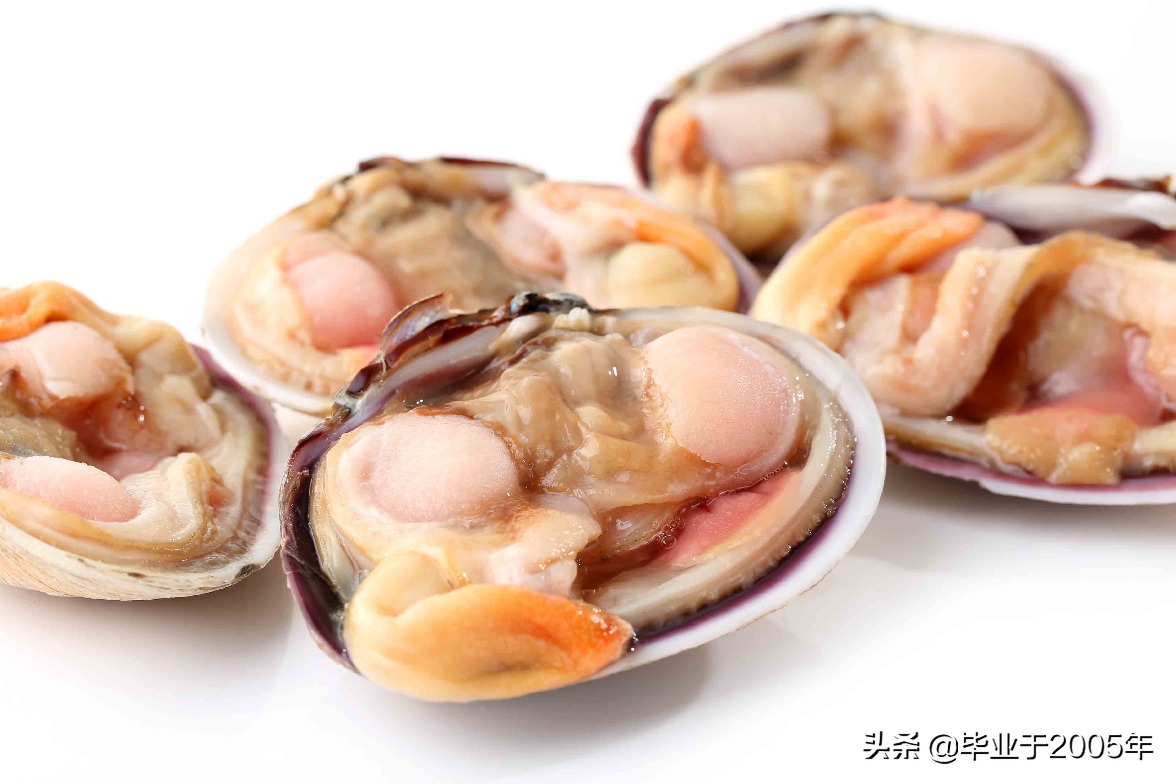 大连海鲜吃货,大连海鲜的种类