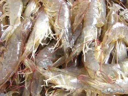 春节必买的海鲜,一年四季海鲜怎么选