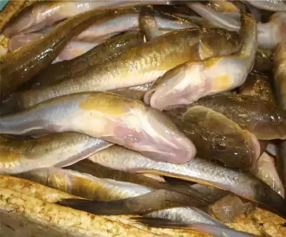 防城港怎么吃海鲜便宜不被坑,防城港干货海鲜有哪些