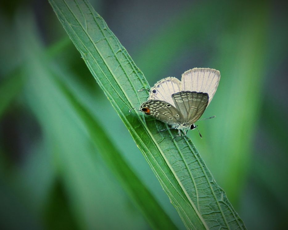 比60d高端的相机,60d单反相机价格