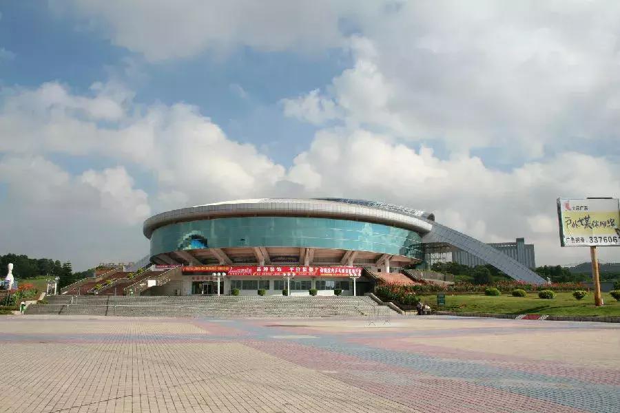 足球总决赛国足,国足足球总决赛