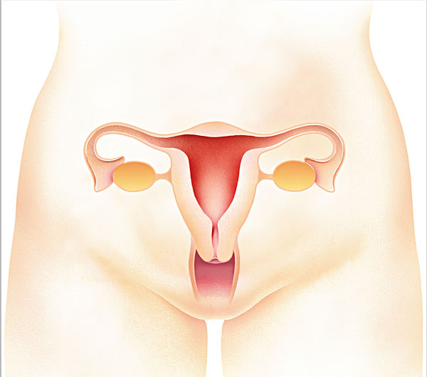 产后恶露要怎么处理,产后恶露的三个正常阶段是怎样的