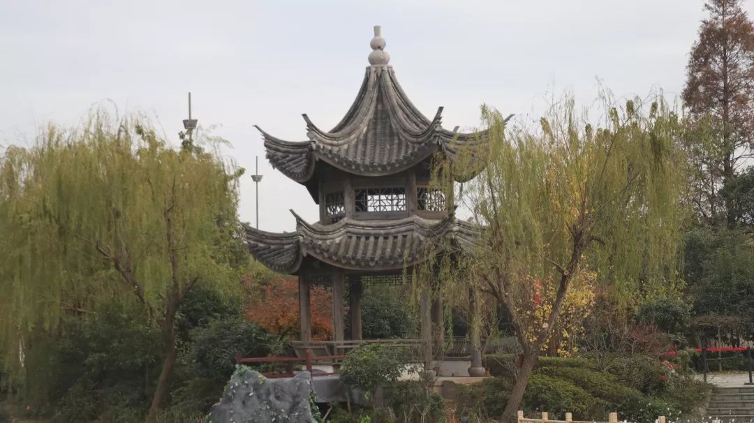 开元集团发展历史,开元集团的发展历程