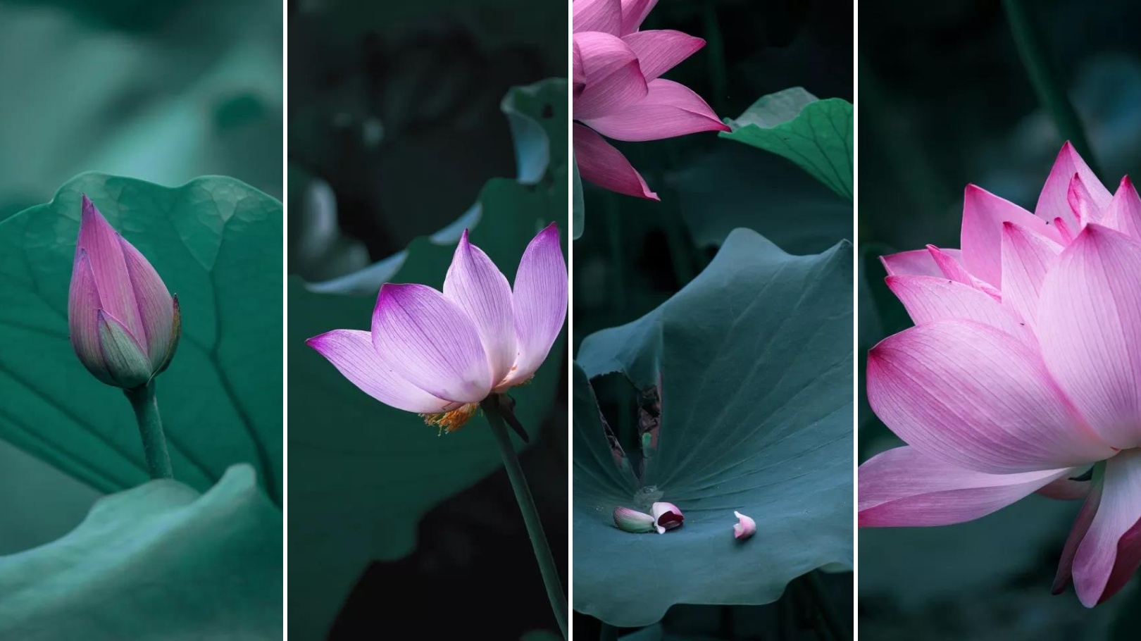 坐拥神仙颜值!原来,这就是中南大学的最美校花!