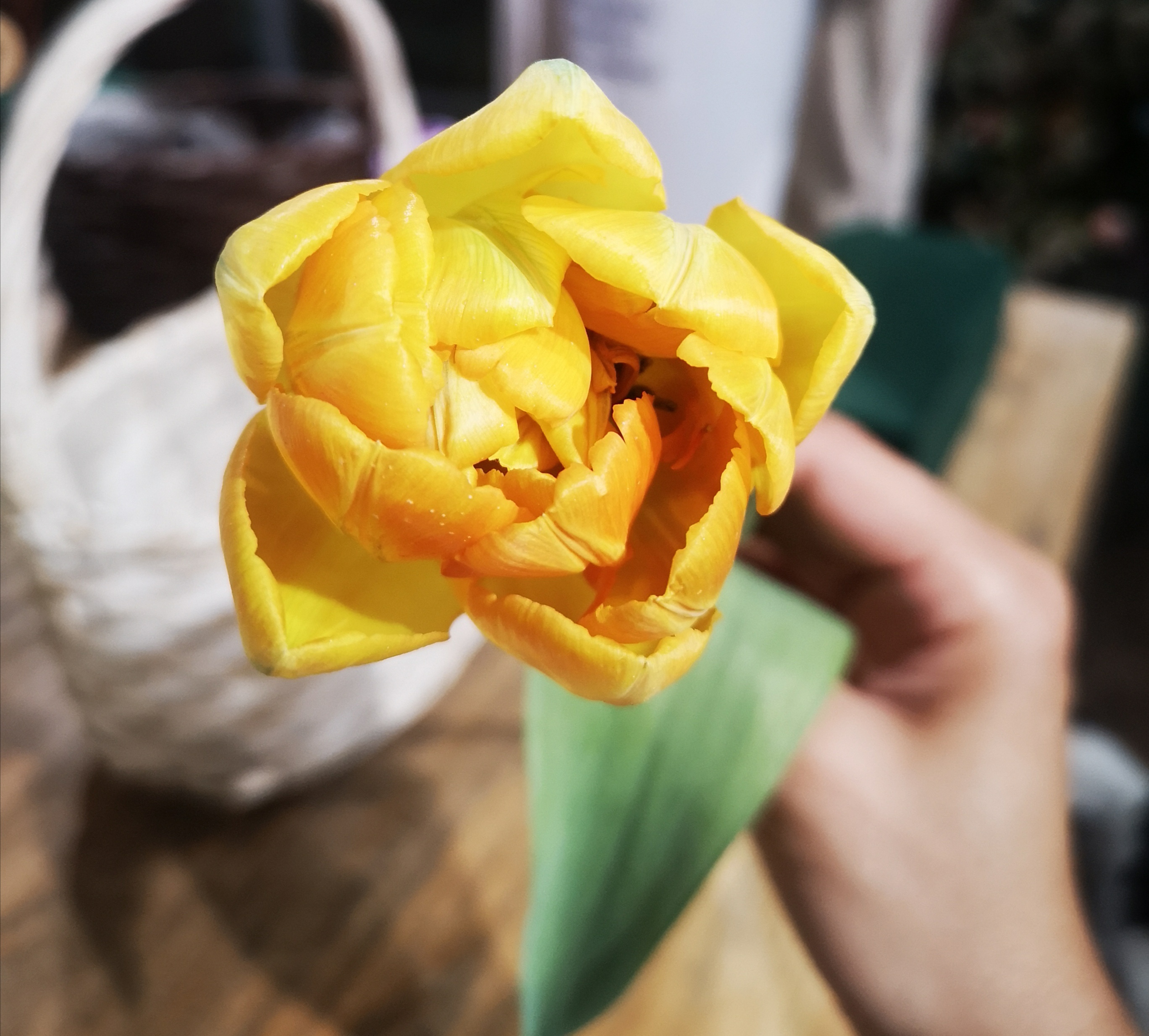 儿子决定去纹身了家长怎么办,儿子纹身如何教育