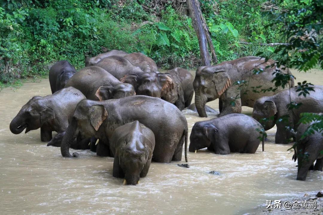 为什么云南女人长相好看,云南真的很漂亮吗