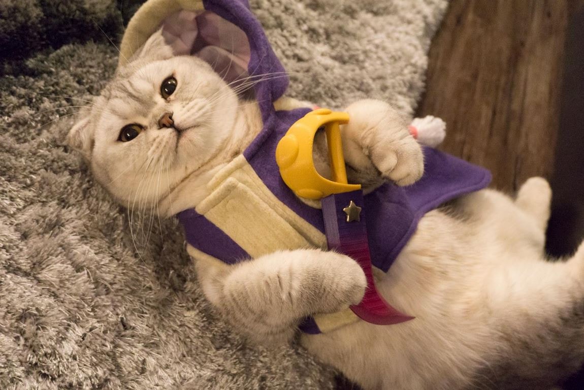 lol愚人节皮肤柯基,英雄联盟柯基皮肤