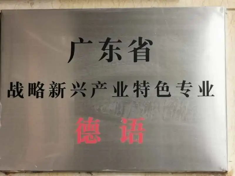 广东外语外贸大学国家级一流本科专业建设点——德语专业