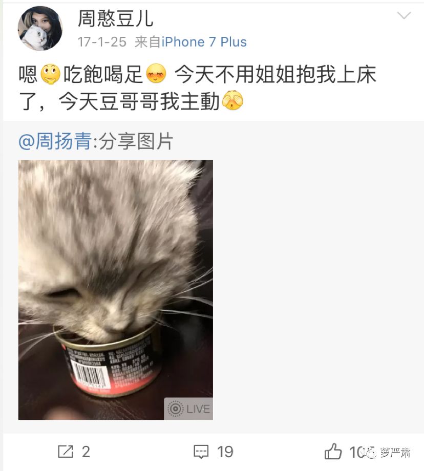 八年恋情告吹了吗,这是内涵她整容了吗?