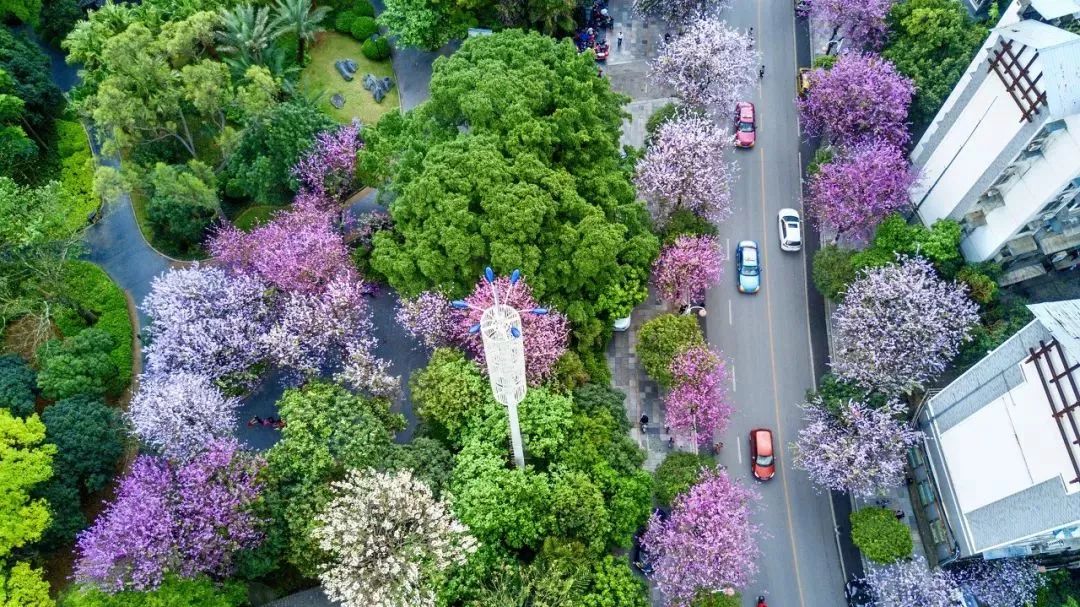 广西有座小城,广西这个宜居小城很低调