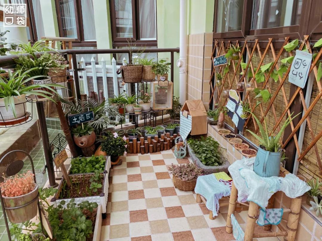 从哪个地方感受到幼儿园的美,幼儿园艺术感受与欣赏感悟分享