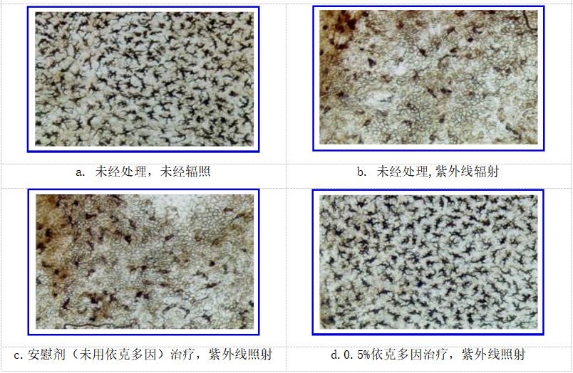 成分*党**特辑：既能修复肌肤还能抗衰抗皱的天然护肤因子—依克多因