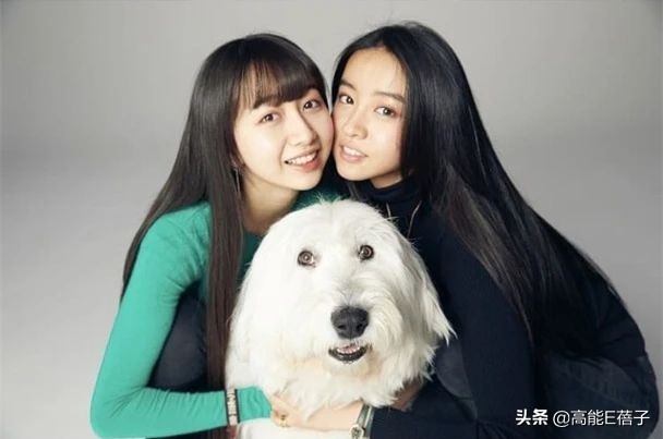 木村光希与木村心美模仿爸爸妈妈,木村光希童年和木村拓哉视频