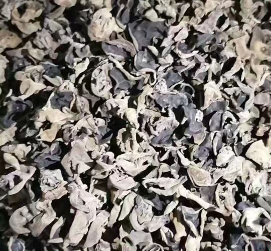 中国打造木耳之乡,中国木耳产地排行榜