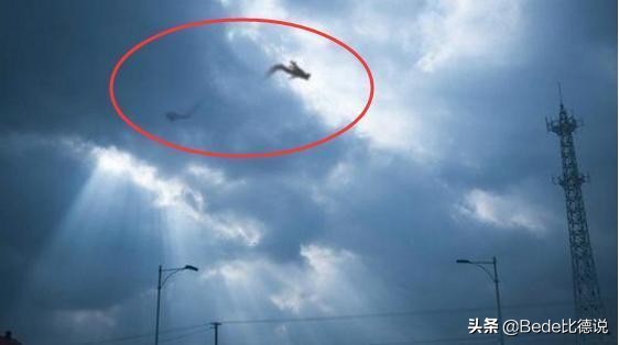 坠龙事件的龙是什么,近几年有发现龙存在吗