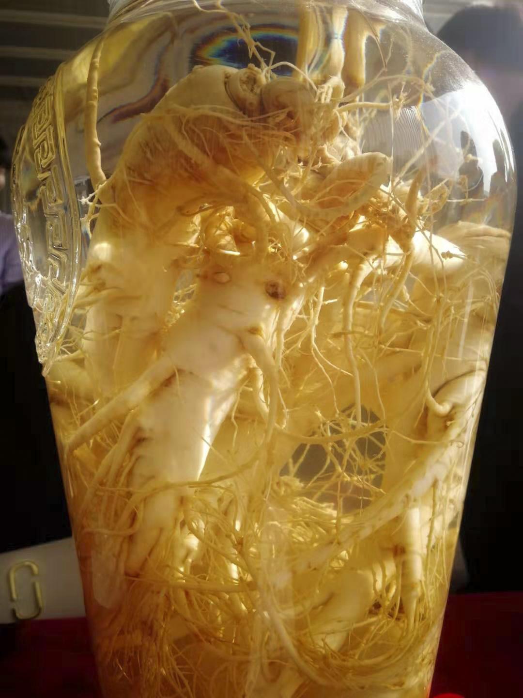 行走在乡村的感悟,行走在乡间感悟