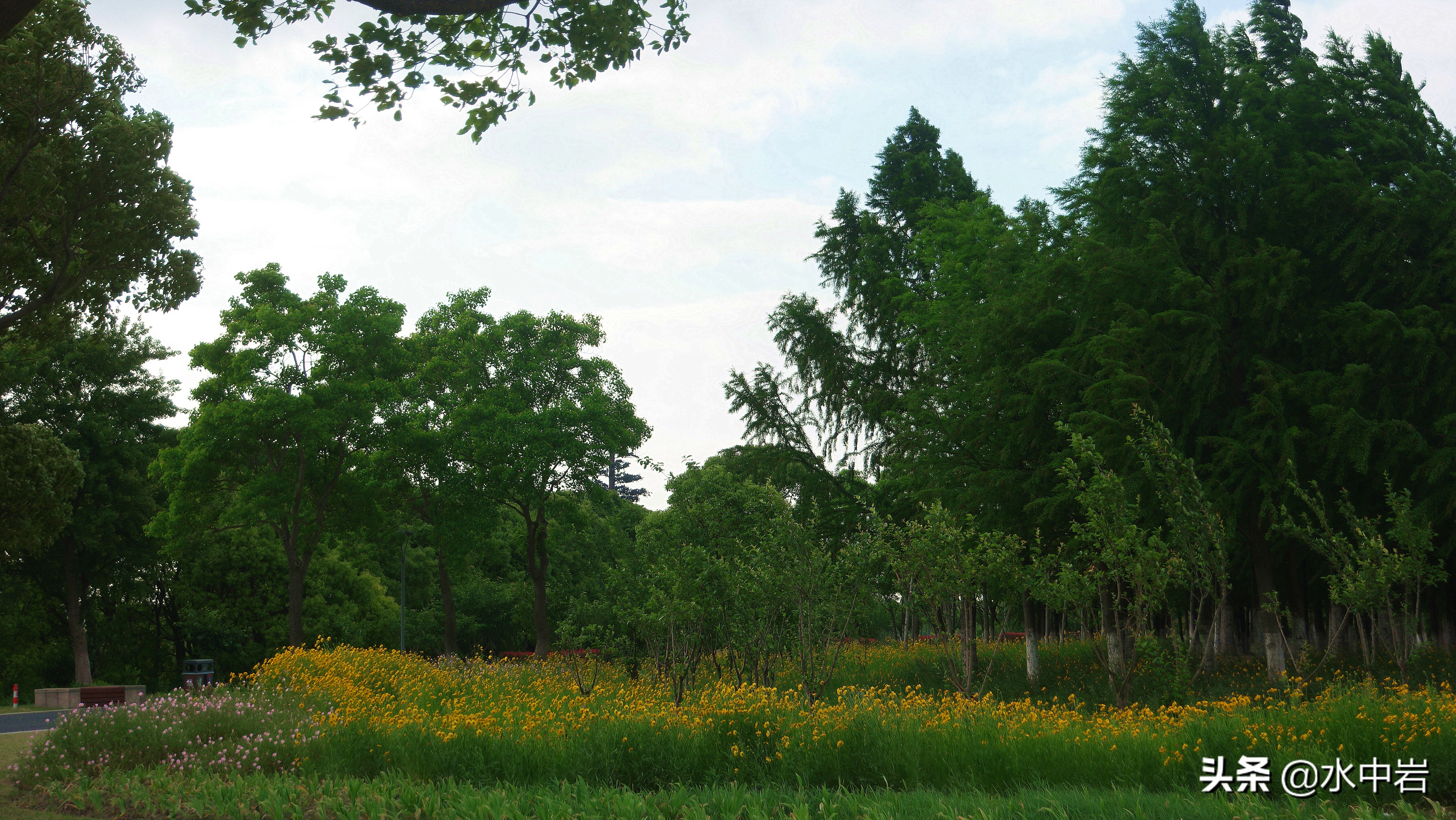 长江流域发生了几次大型洪涝灾害,江苏历史上遭遇的洪水