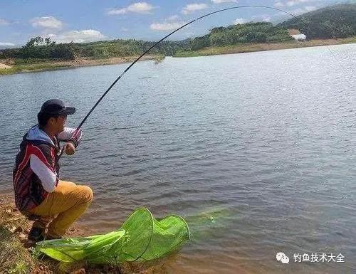 钓三种常见大鱼时遛鱼难度对比，分析透彻，一针见血