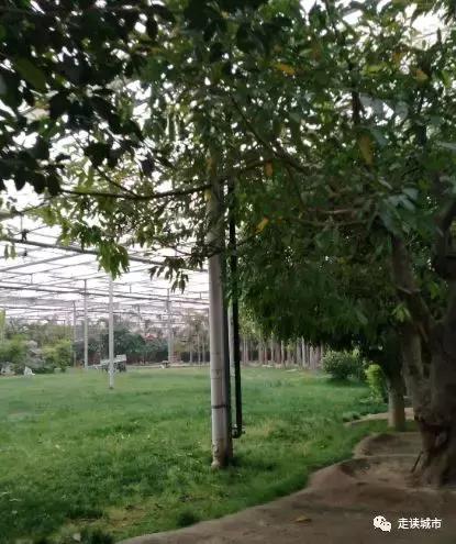 走读城市之廊坊安次(八):九天休闲谷