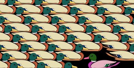 一个睡衣经销公司四个人跨行布局，狂赚7000W