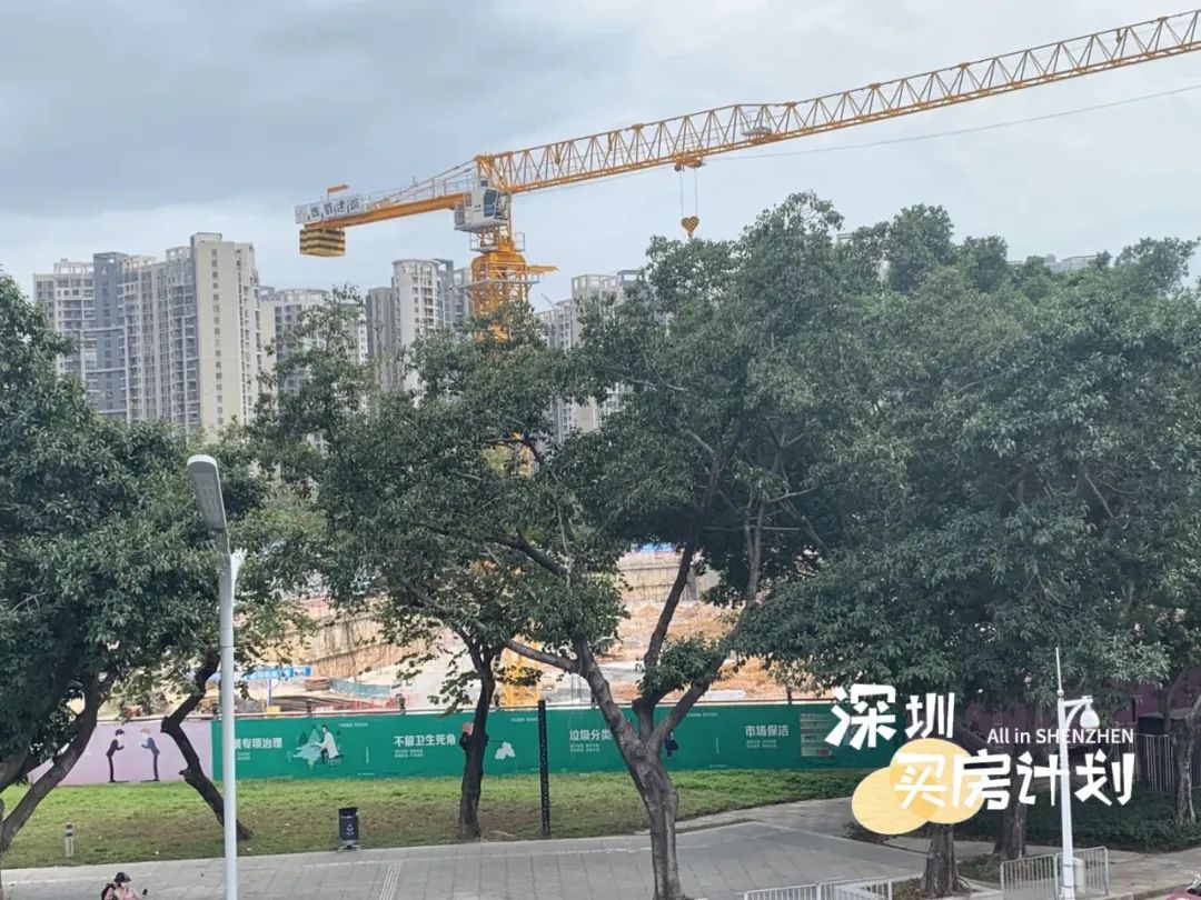 撸完宝安18个新盘!打地鼠式打新来了,你准备pick谁?